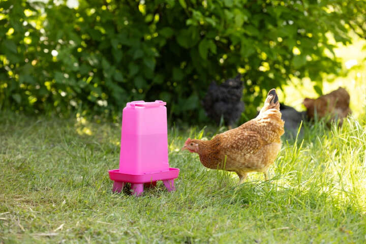 KERBL Kunststofftränke mit Standfüßen